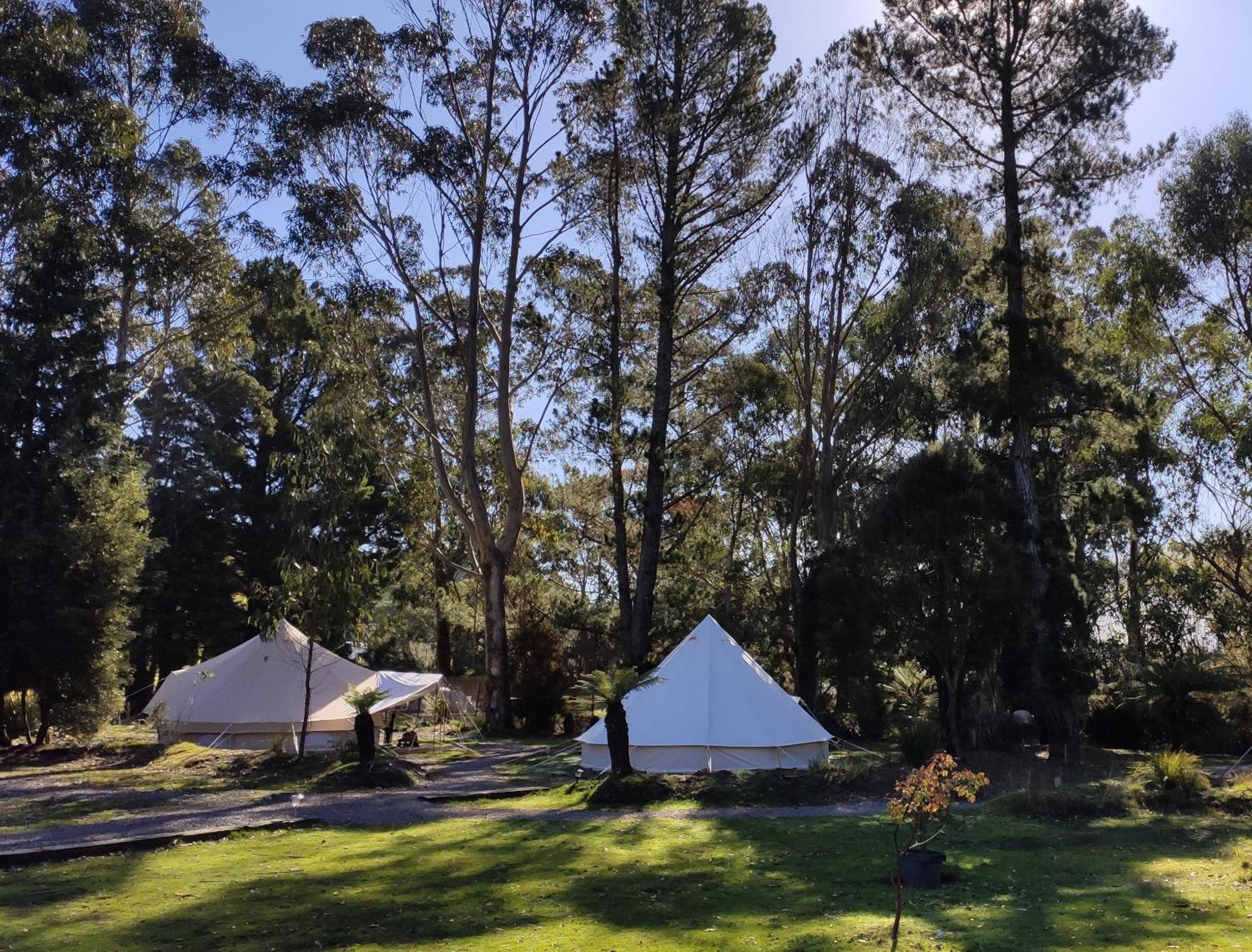 Glamping At Zeehan Bush Camp Hotel Exterior foto